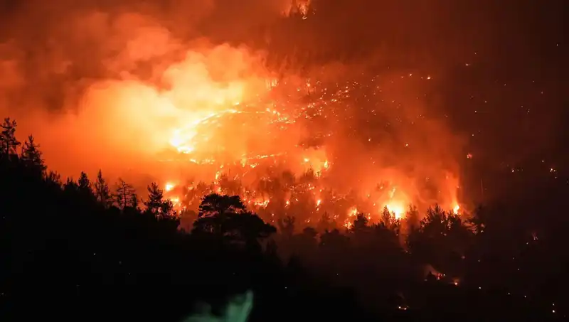 Bursa-Balıkesir Sınırındaki Orman Yangını, Ekipler Tarafından Kontrol Altına Alındı