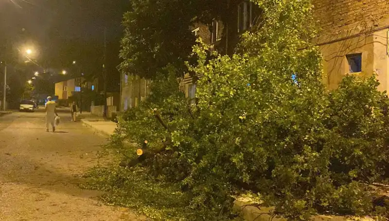 Karabük'te Fırtına: Şehirde Yaşanan Muazzam Değişimler ve Etkileri