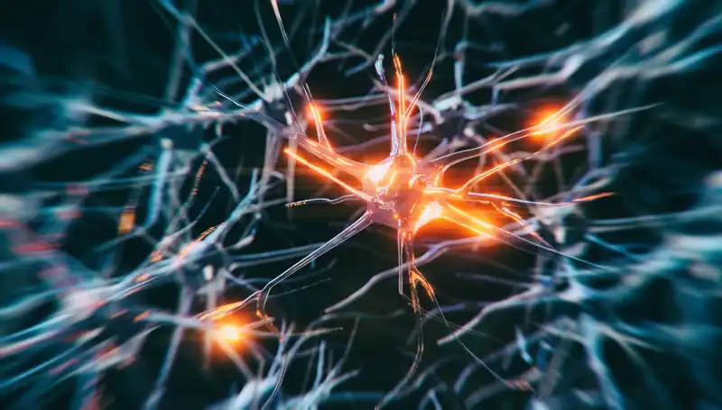 Alzheimer Vakalarında Çarpıcı Artış: Nedenleri ve Olası Çözümler