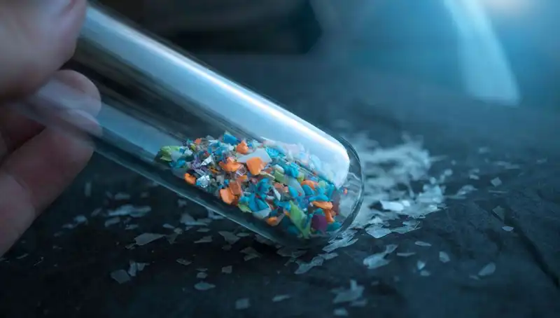 Mikroplastikler İnsanın Beyninde Neler Yapıyor? Bilim Dünyası Sarsılıyor!