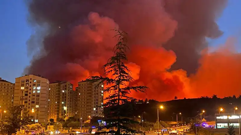 Bursa’da Yangın Tehlikesi: Şehri Saran Alevlerle Savaş Başladı
