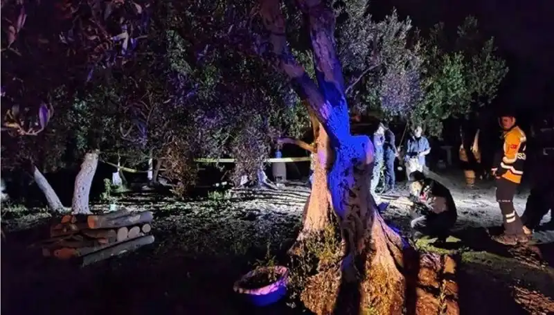 Çiftlikteki Şok Edici Baltalı Vahşet: Soruşturma Derinleşiyor, Bir Tutuklama Gerçekleşti