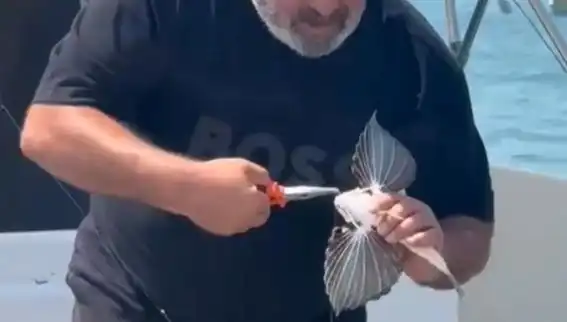 Saros Koyu'nda Yakalanan Nadir Kırlangıç Balığı Balıkçıları Şaşırttı