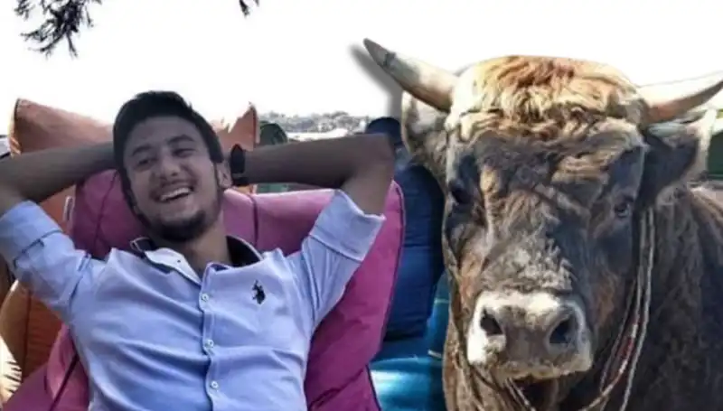 Aydın'da Güreş Boğası ile Yaşanan Trajik Olay: Can Alan Dört Günlük Mücadele