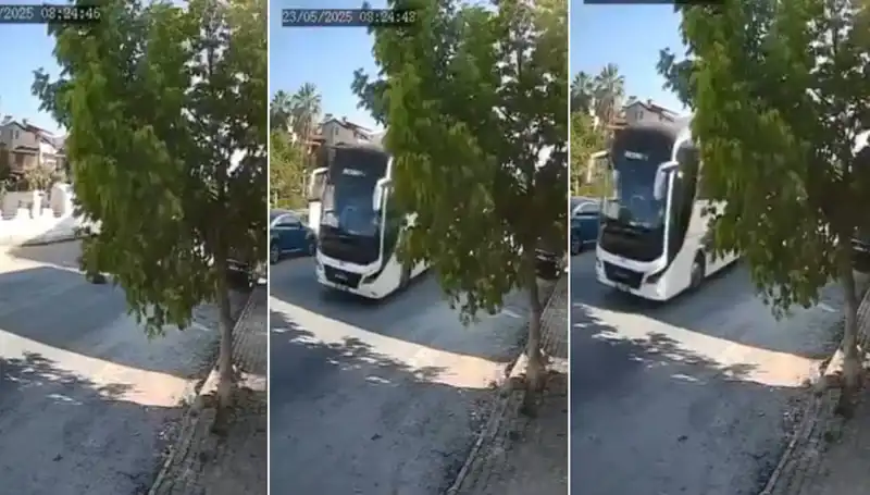 Yolda Yatan Köpeği Ezip Geçen Sürücünün Sinsice Davranışı Şoke Etti