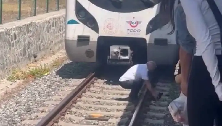 Marmaray'da Raylara Düşen Kediye duyarlı müdahale: Makinistin Alkışlanan Kararı