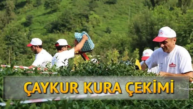 Çaykur Canlı Kura Sayfası: İsim Listesini Öğrenmenin Kolay Yolu