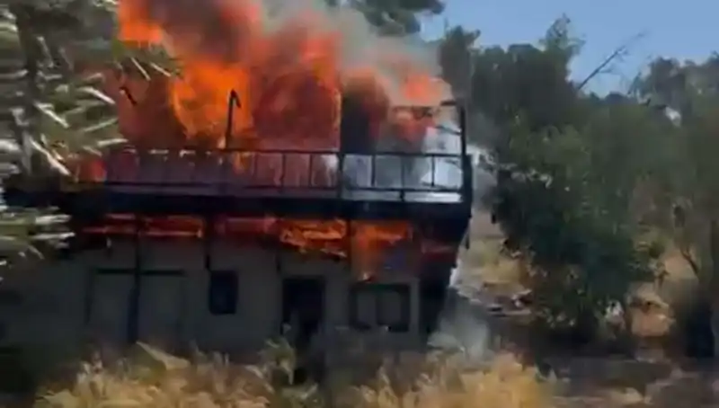 Bodrum'da Yangın Alarmı: Tatilci ve Yerel Halk Panik İçinde