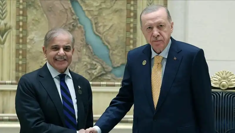 Türkiye-Pakistan İlişkileri: Cumhurbaşkanı Erdoğan ve Başbakan Şerif Görüşmesi