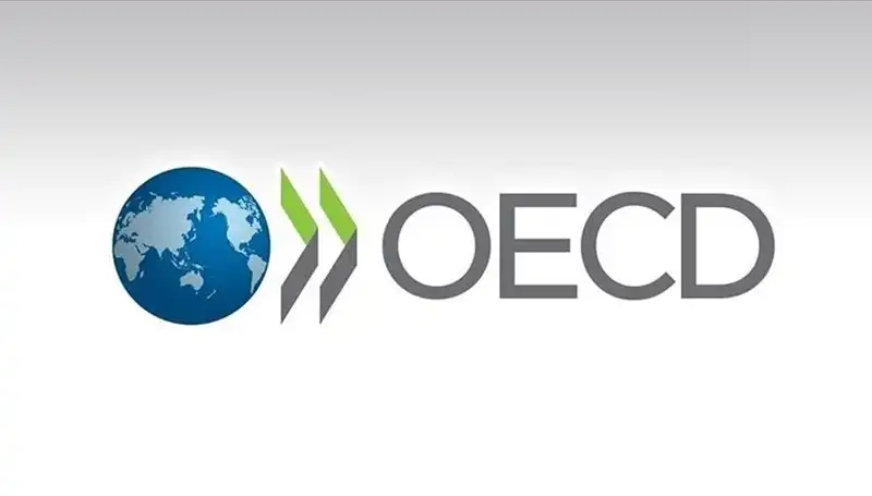 OECD, Türkiye'nin 2023 Büyüme Tahminini Revize Etti: Yeni Beklentiler