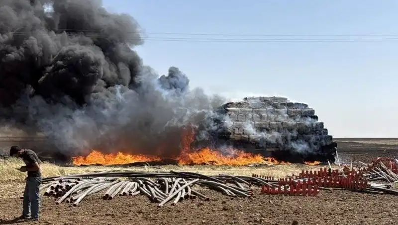 Mardin'de Kontrolden Çıkan Anız Yangını Korkuttu