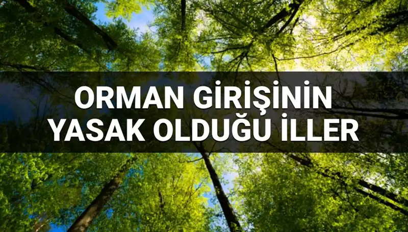 2025'te Orman Girişine Yasaklanan İller: Hangi Bölgeler Kapsamda?