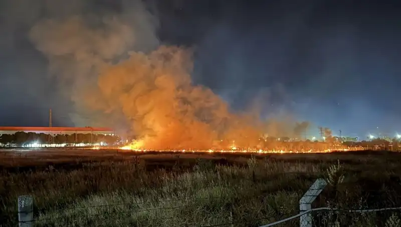 İzmir'de Gece Yarısı Yangın Paniği: Olay Yerinden Son Dakika Gelişmeleri