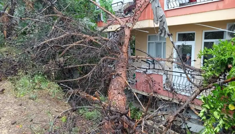 Yağmurun Sırrı: Bina, Aşırı Yağışla Yıkılma Tehlikesiyle Karşılaştı