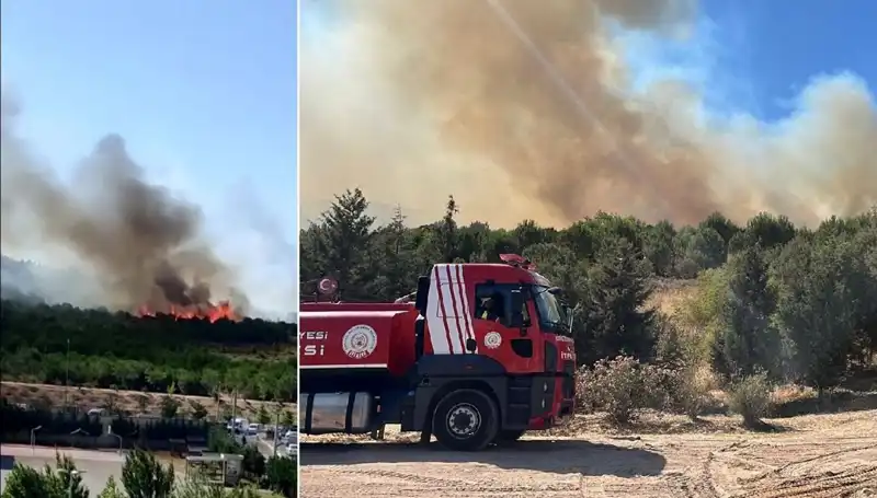 Gebze'de Bölgeyi Korkutan Orman Yangını: Yangın Sebepleri ve Mücadele Çabaları