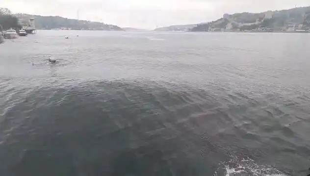 İstanbul Boğazı'nda Dalgalar Yükseliyor: Deniz Keyfi Tehlikede mi?