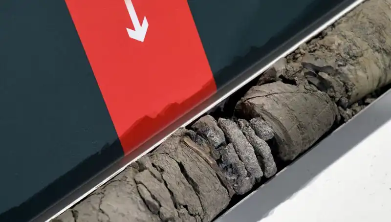 Müze Otoparkında Şok Eden Keşif: Dinozor Fosili Bulundu!