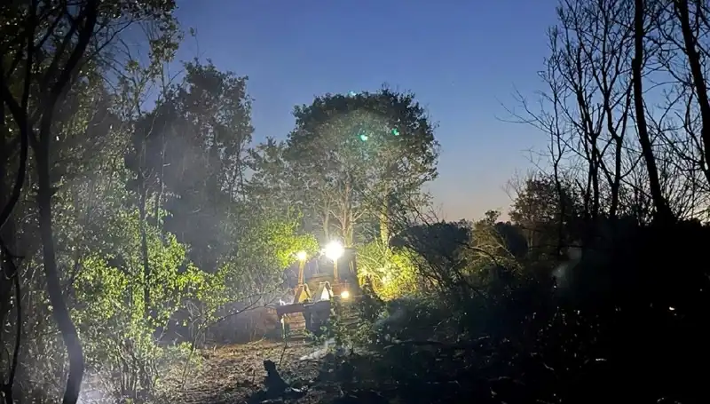 Edirne'deki Orman Yangını: Tüm Mücadeleler Sonunda Kontrol Altına Alındı